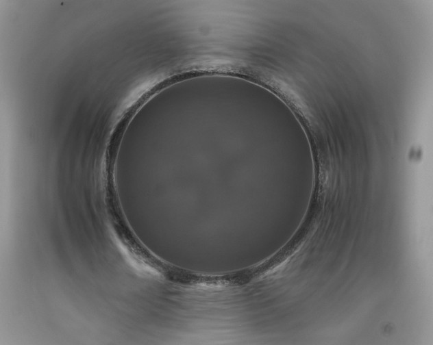 X0000092290674200709141300