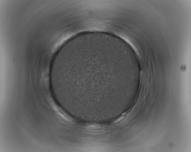 X0000092290677200709141300