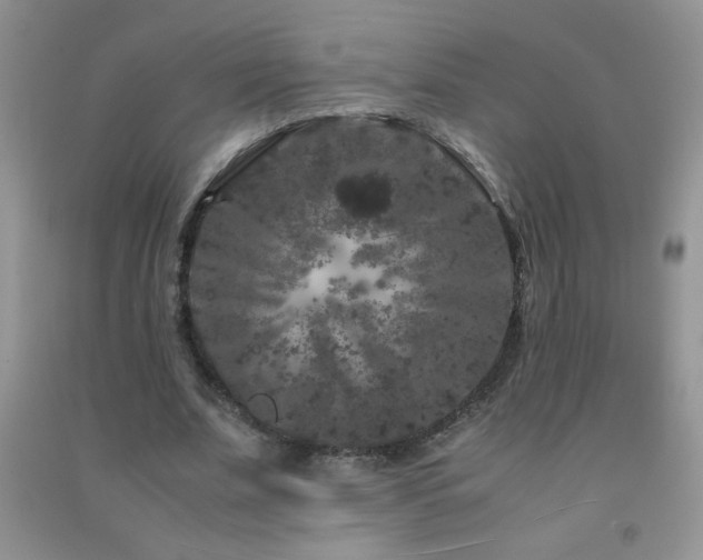 X0000092290679200709141300