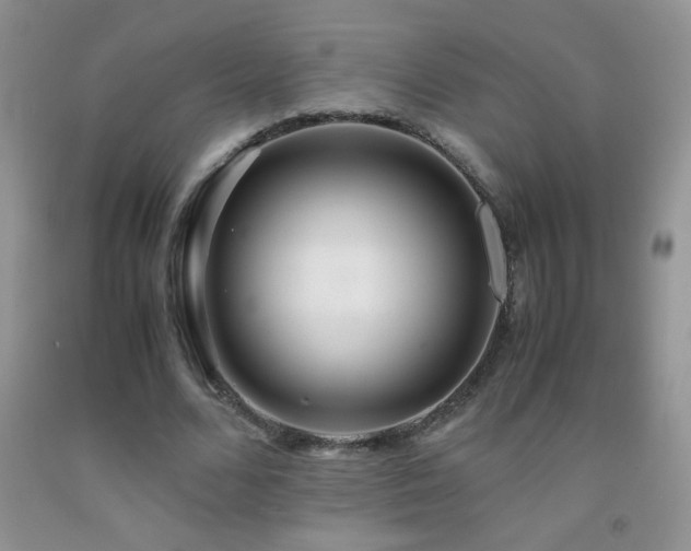 X0000092290680200709141300