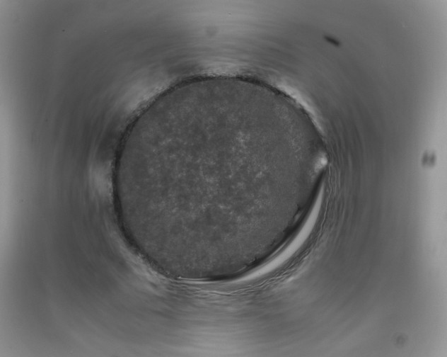 X0000092290681200709141300