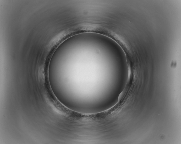 X0000092290682200709141300