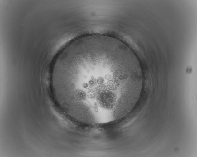 X0000092290683200709141300