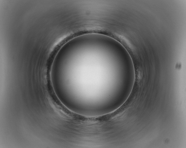 X0000092290684200709141300