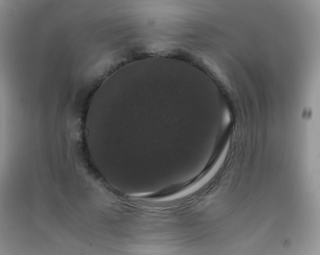 X0000092290689200709141300