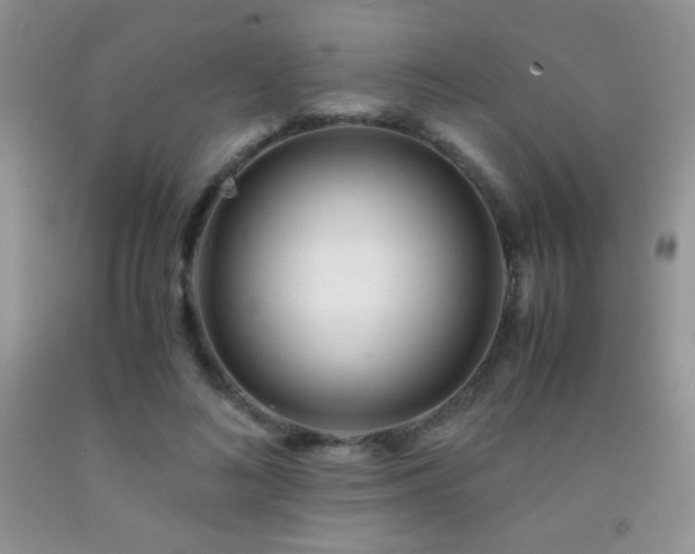 X0000092290692200709141300