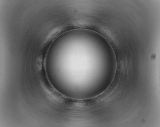 X0000092290694200709141300