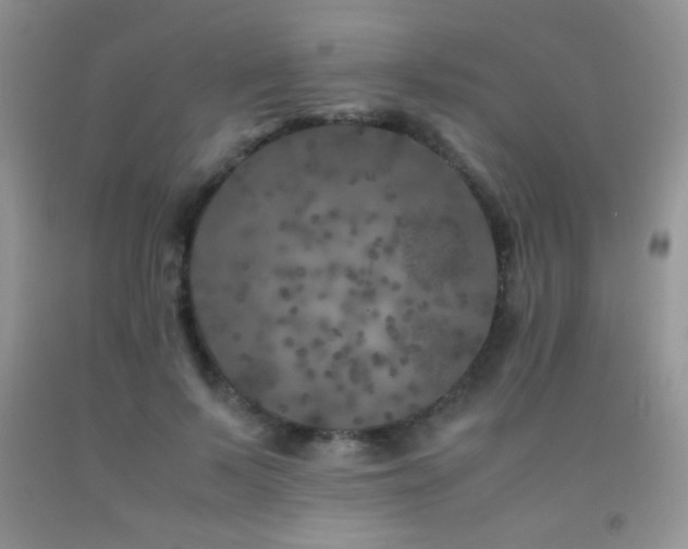 X0000092290695200709141300