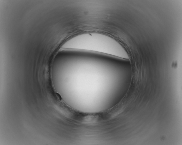 X0000092290700200709141300