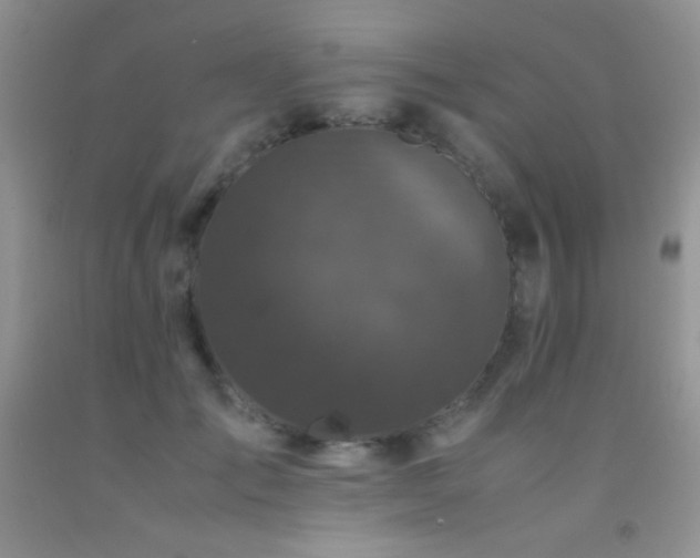 X0000092290701200709141300