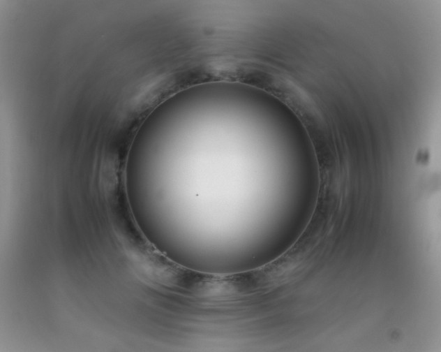 X0000092290702200709141300