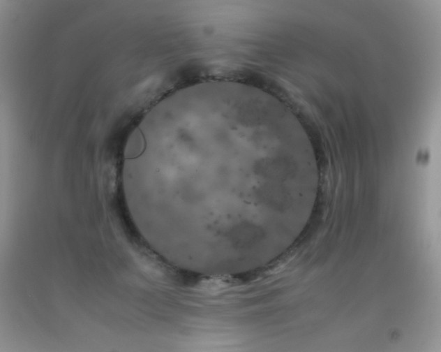 X0000092290703200709141300