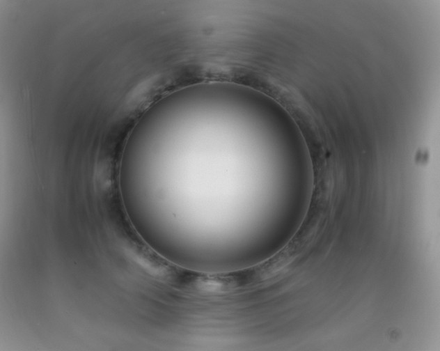 X0000092290706200709141259