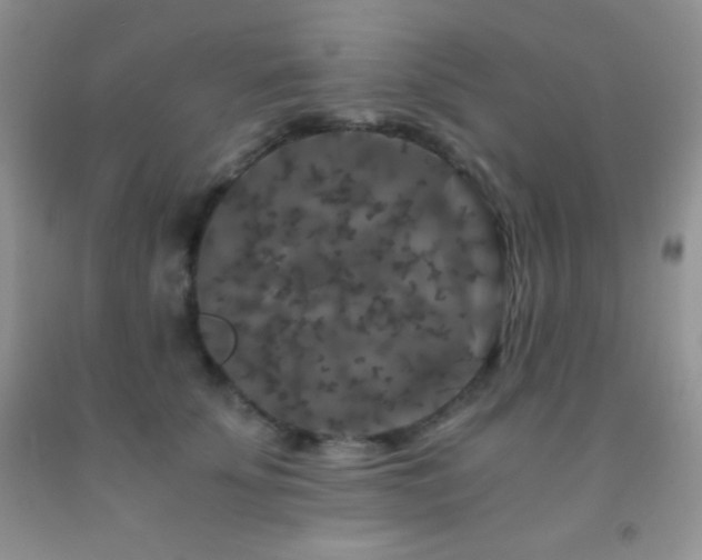 X0000092290707200709141259