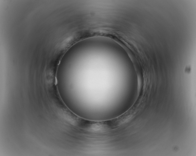 X0000092290708200709141259