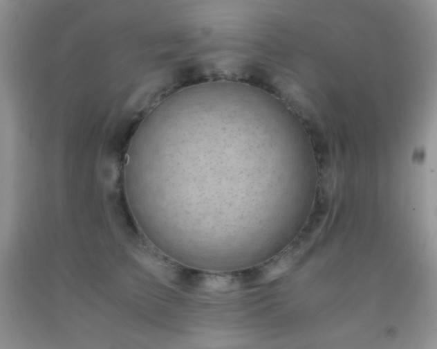 X0000092290709200709141259