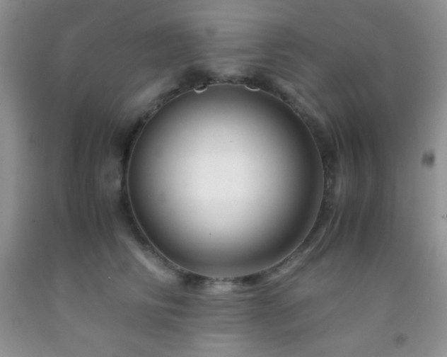 X0000092290710200709141259