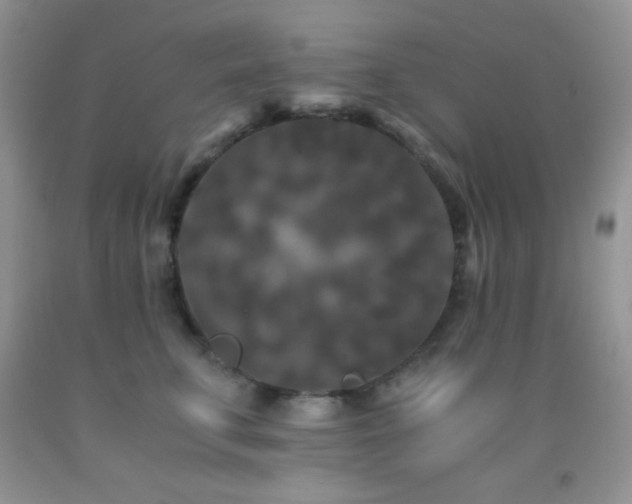 X0000092290711200709141259