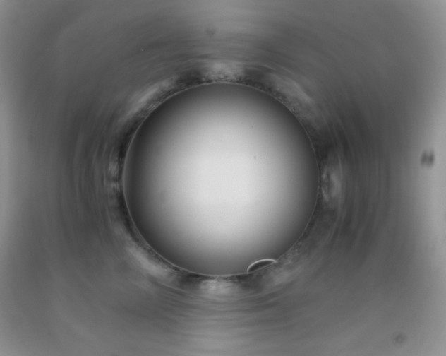 X0000092290714200709141259