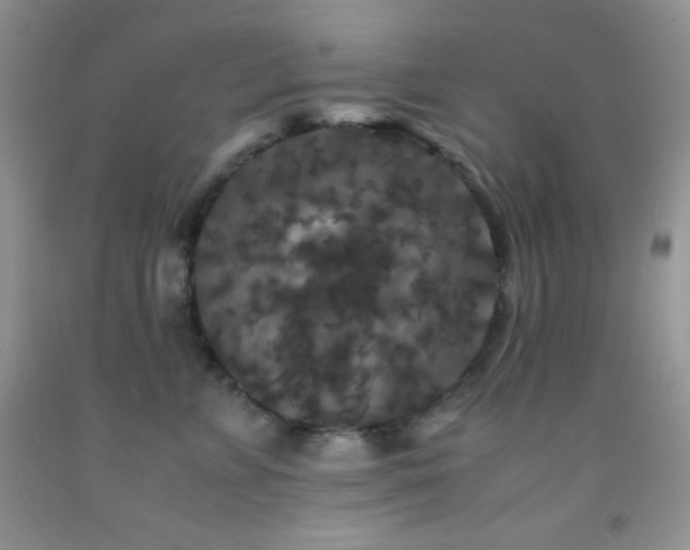 X0000092290715200709141259