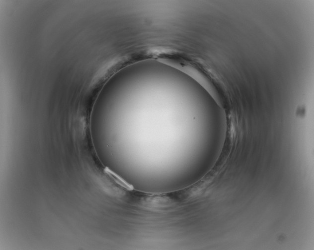 X0000092290716200709141259