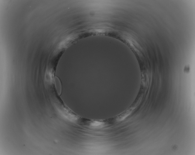 X0000092290718200709141259