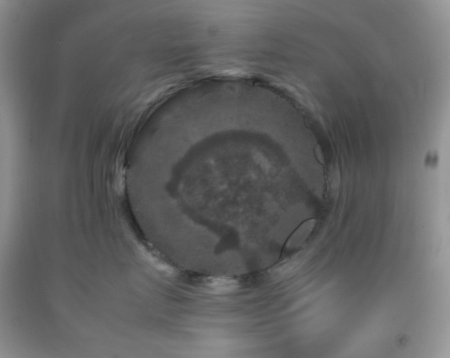 X0000092290719200709141259