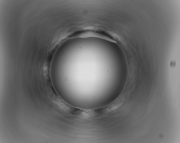 X0000092290720200709141259