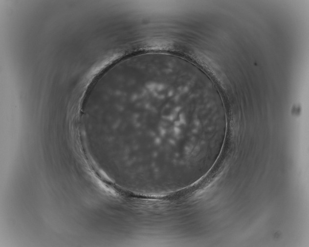 X0000092290721200709141259