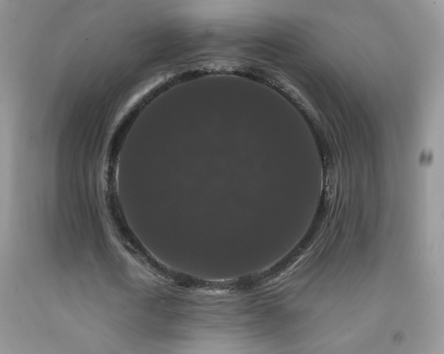 X0000092290722200709141259