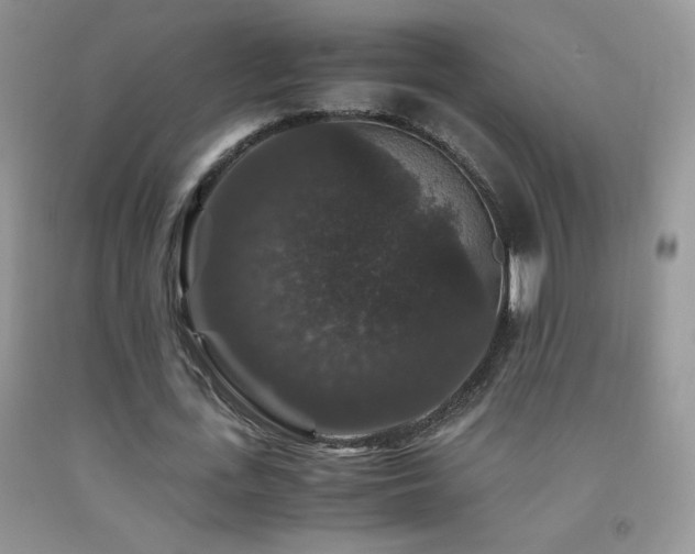 X0000092290723200709141259