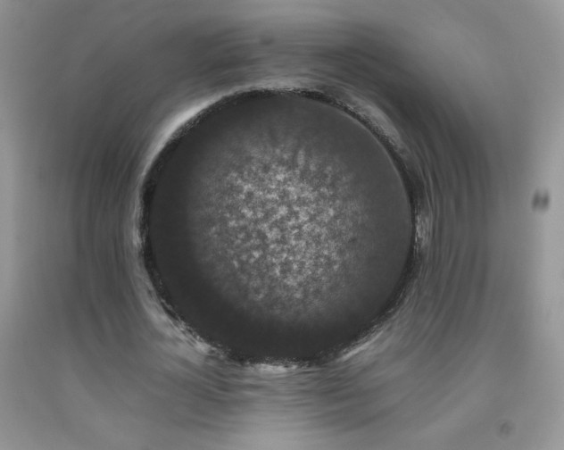 X0000092290724200709141259