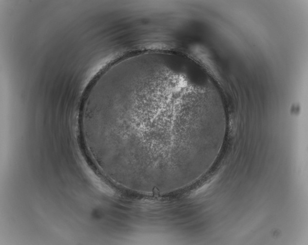 X0000092290725200709141259