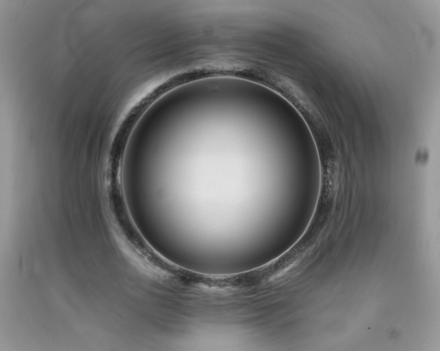 X0000092290726200709141259