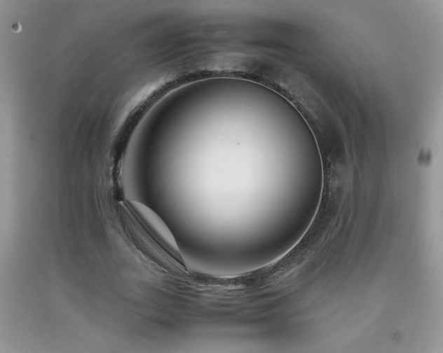 X0000092290727200709141259