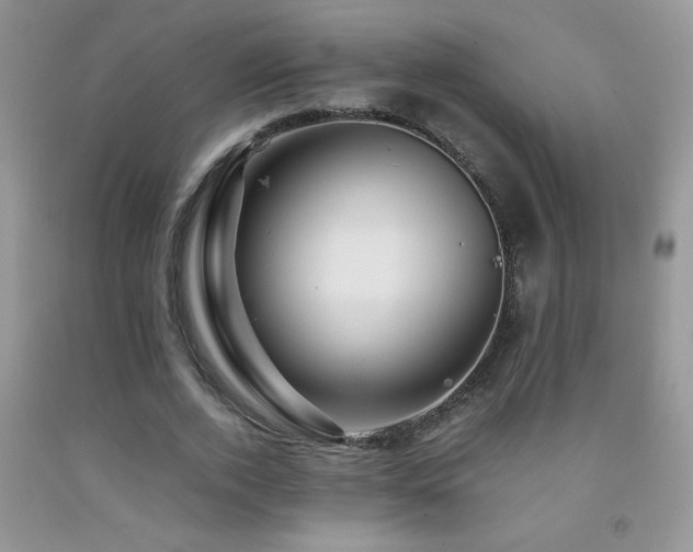 X0000092290728200709141259