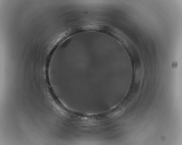 X0000092290729200709141259