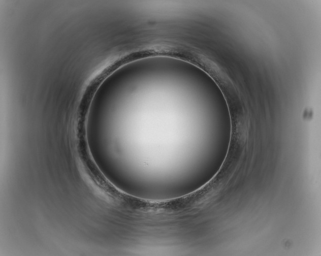 X0000092290730200709141259