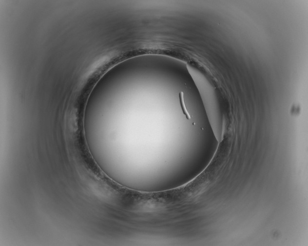 X0000092290731200709141259