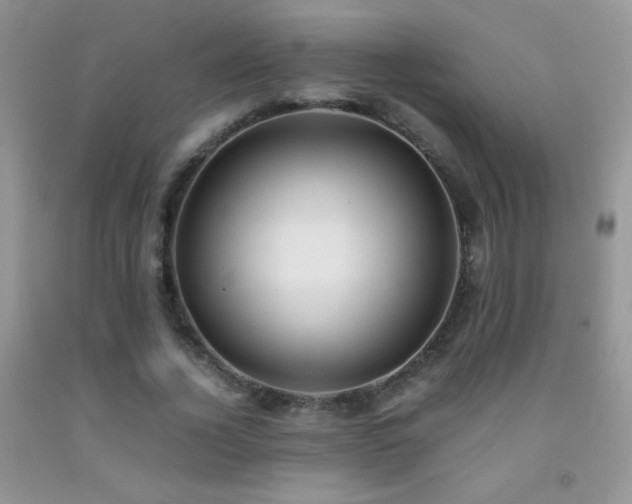 X0000092290732200709141259