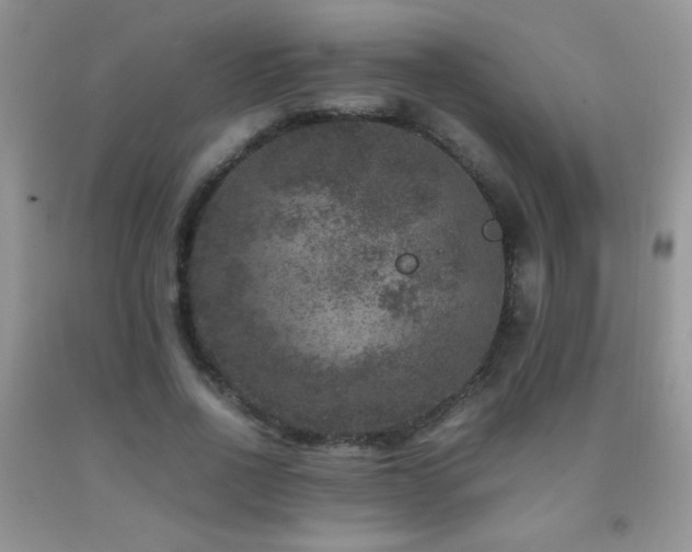 X0000092290734200709141259