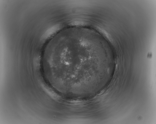 X0000092290735200709141259