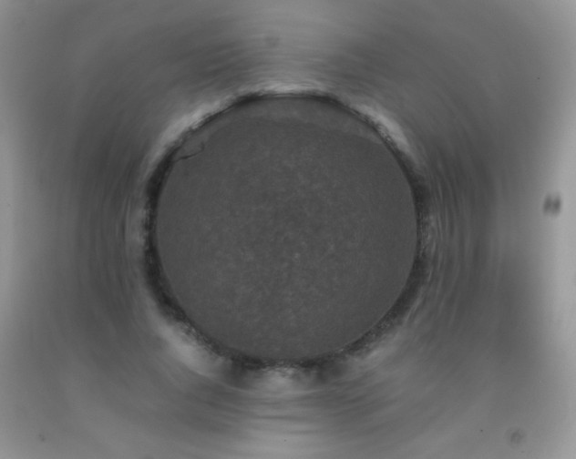 X0000092290736200709141259