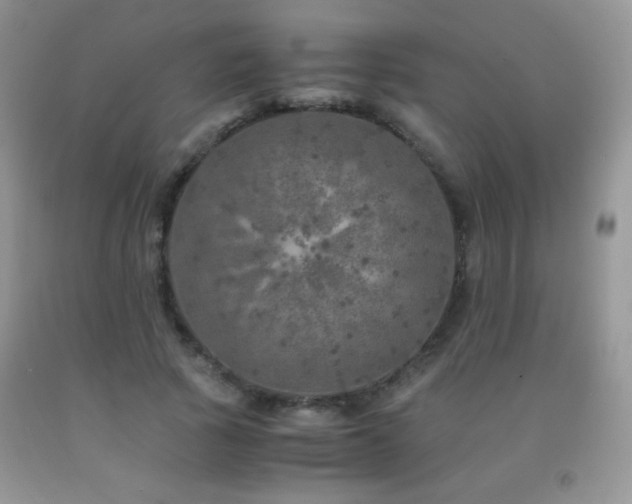 X0000092290737200709141259