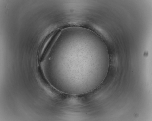 X0000092290738200709141259