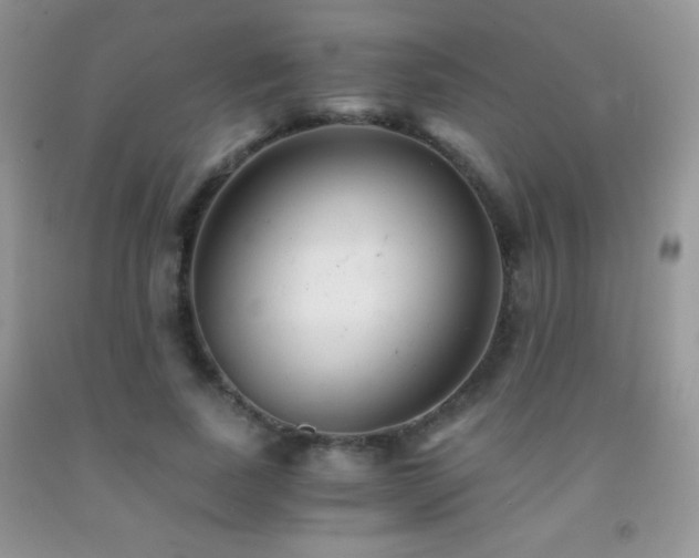 X0000092290739200709141259