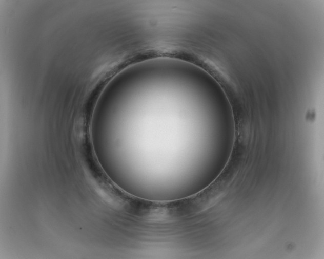 X0000092290740200709141259