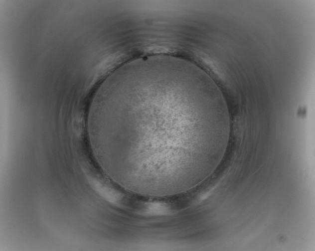 X0000092290741200709141259