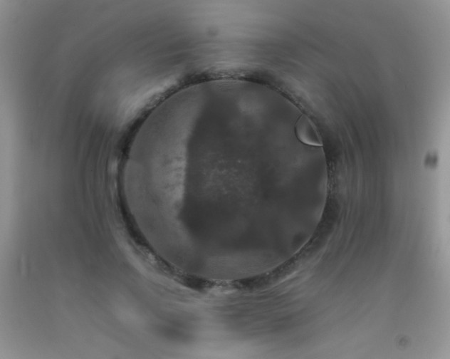 X0000092290742200709141259