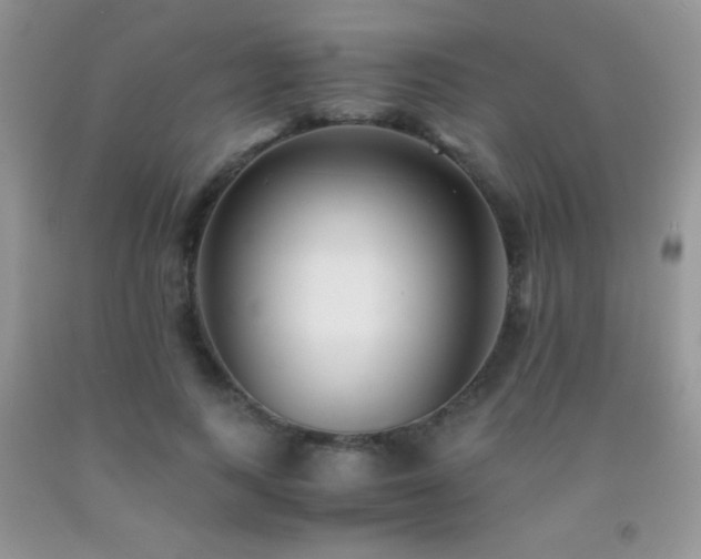 X0000092290743200709141259